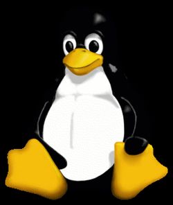 Compteur Linux