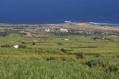 Vue de la Pointe au sel à Saint-Leu depuis les hauteurs où l'on voit les étendues de champs de canne à sucre avec la plage et la mer au fond.