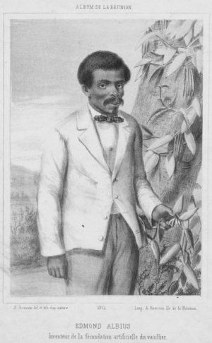 Gravure montrant Edmond Albius avec le titre de Inventeur de la fécondation artificielle du vaniller dont il tient dans la main une fleur