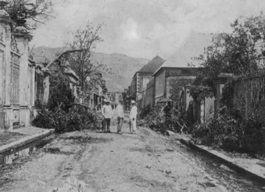 photo noir et blanc d'une rue bordée de murs avec desarbres qui sont tombés par desssus les murs sur la route.