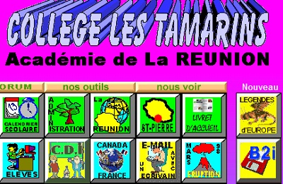 Home page du premier site du collège les Tamarins