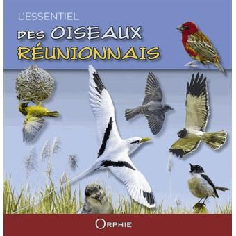 livre L'essentiel des oiseaux réunionnais avec des photos de plein d'oiseaux de toutes couleurs, vollant dans tous les sens